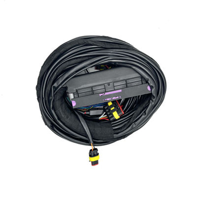 Good price 4 haz de cables auto de múltiples puntos del Pin CNG LPG del arnés 56 de la inyección de carburante del ECU del cilindro en línea