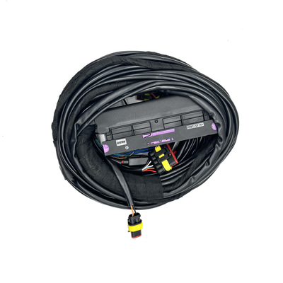 Tipo de conector múltiple para un rendimiento óptimo de 12 V
