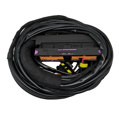 Tipo de conector múltiple para un rendimiento óptimo de 12 V