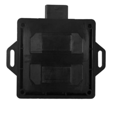 Unidad de control electrónica de encargo de CNG LPG en coche con 48 Pin Connector