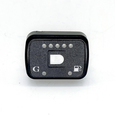 Interruptor rectangular DC12V del convertidor de la gasolina del ECU CNG del coche