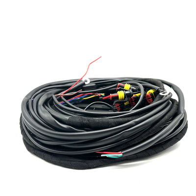 56 haz de cables de múltiples puntos de la conexión de la inyección de carburante del arnés de cable CNG LPG del Pin el ECU