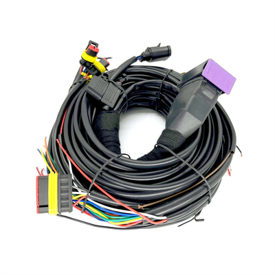 Cilindro secuencial el ECU de Pin Car Wiring Harness For 4 de la inyección 24 de CNG LPG