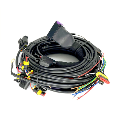 Cilindro secuencial el ECU de Pin Car Wiring Harness For 4 de la inyección 24 de CNG LPG