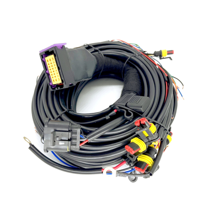 Cilindro secuencial el ECU de Pin Car Wiring Harness For 4 de la inyección 24 de CNG LPG