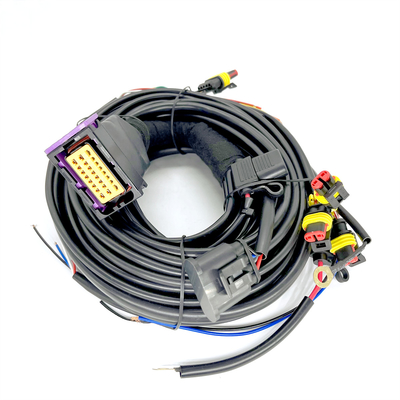 Cilindro secuencial el ECU de Pin Car Wiring Harness For 4 de la inyección 24 de CNG LPG