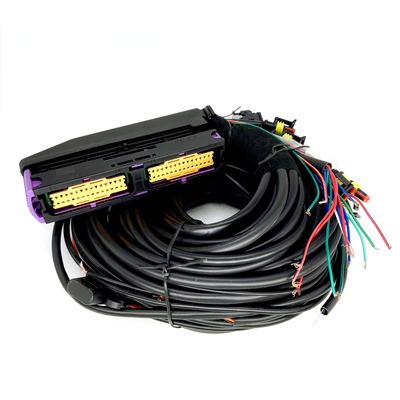 Cilindro automotriz de múltiples puntos el ECU de Pin For 6 de la haz de cables 56 de CNG LPG