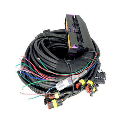 Cilindro automotriz de múltiples puntos el ECU de Pin For 6 de la haz de cables 56 de CNG LPG