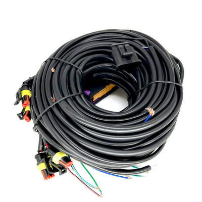 Cilindro automotriz de múltiples puntos el ECU de Pin For 6 de la haz de cables 56 de CNG LPG