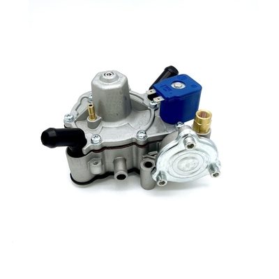 Regulador de presión separado de Autogas LPG del circuito del gas y del agua 125W